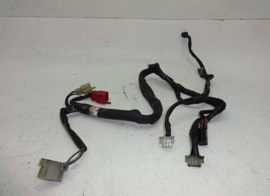 Kabelboom voor Honda PC 800