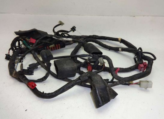 Wire Harness Honda CBR 1000 F