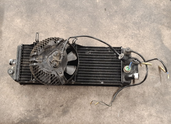 Radiator Suzuki VX 800 1990-1997