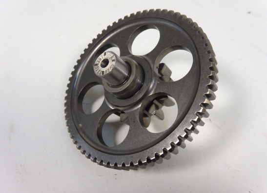 Start koppeling Aprilia Tuono 660