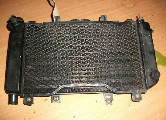 Radiator Yamaha TDM