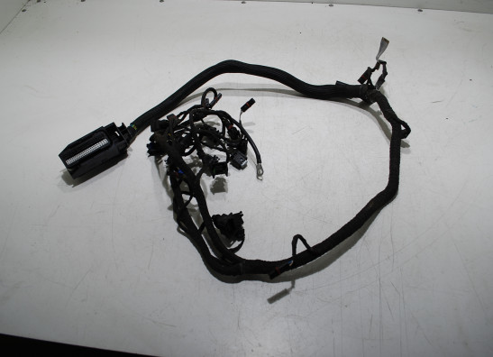 Kabelboom voor BMW K 1200 R 