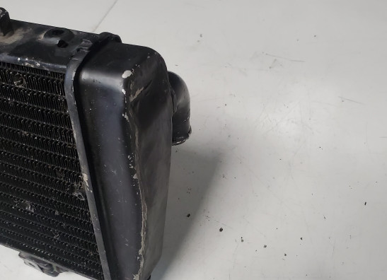 Radiateur Aprilia Tuono 1000