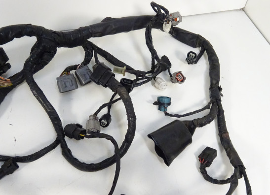 Kabelbaum Kawasaki ER 6