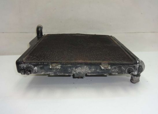 Kuhler Kawasaki GTR 1000