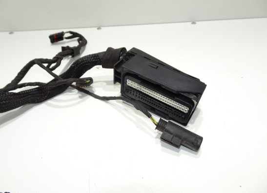 Kabelbaum vorne BMW F 800 R