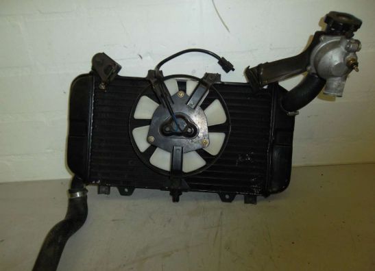 Radiateur Kawasaki ZZR 600