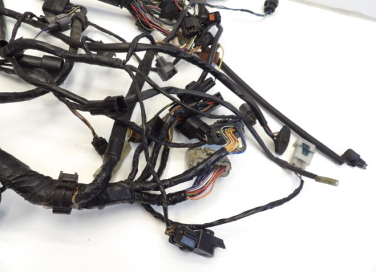 Kabelbaum Kawasaki Z 1000