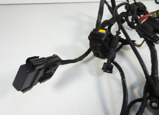 Wire Harness Ducati 749  999