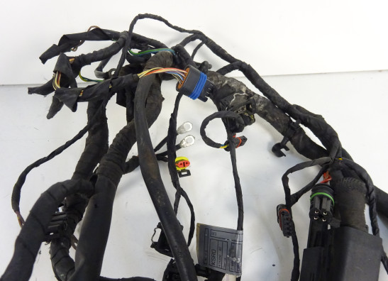 Kabelboom BMW F 800 S - ST