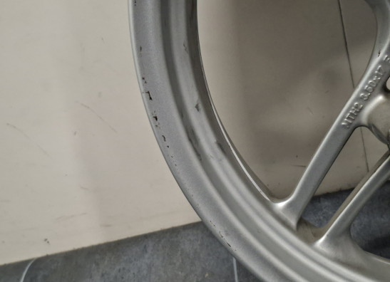 Voorvelg BMW R 1100 S