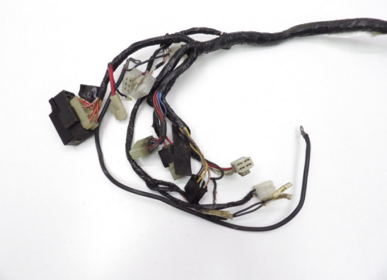 Wire Harness Yamaha FZR 600