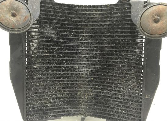 Kuhler Suzuki GSX R 750