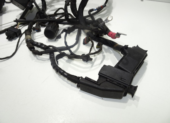 Kabelbaum BMW F 650 GS