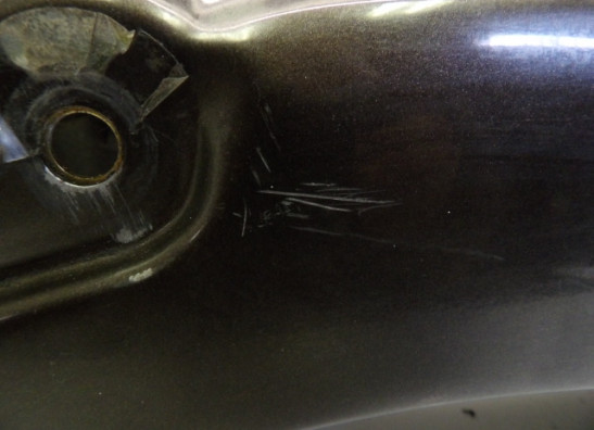 Hinterradabdeckung Yamaha XV 250 Virago