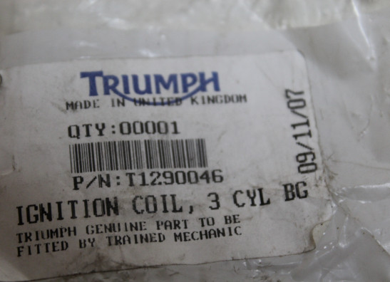 Bobine Triumph Sprint 900 Executive