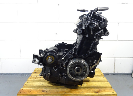 Motorblok BMW F 800 R 2009-2014