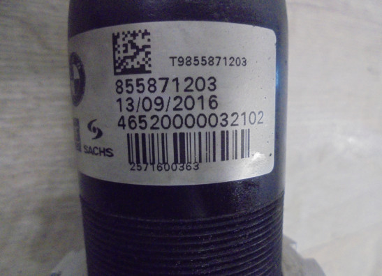 Stossdampfer hinten BMW R Nine T Pure