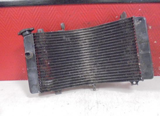 Radiateur Suzuki GSX R 600