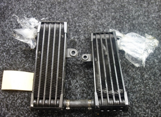 Oliekoeler Aprilia RSV 1000