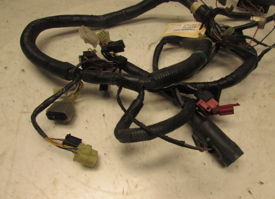 Wire Harness Kawasaki ER 5