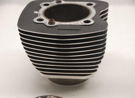 Cilinderblok Harley Davidson Softtail