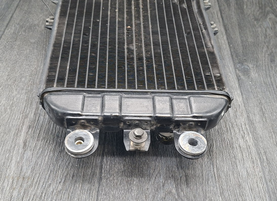Radiator Kawasaki VN 700  750