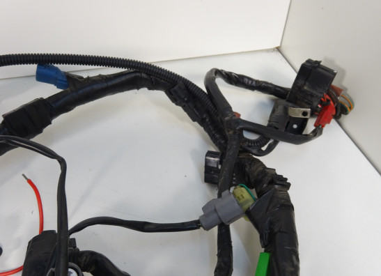 Kabelboom Honda CBF 600