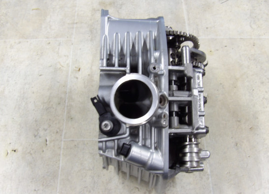 Zylinderkopf BMW R 1250 GS