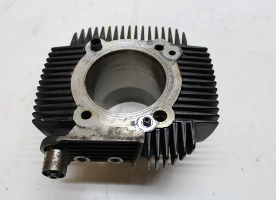 Cilinderblok Ducati monster 696