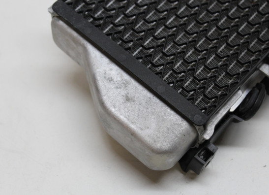 Radiateur Honda CRF 1100L Africa Twin Adventure Sports ES