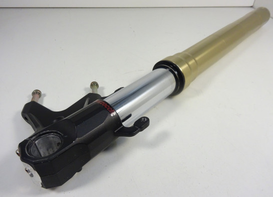 Standrohr Gabelholm rechts komplett MV Agusta 989 Brutale R