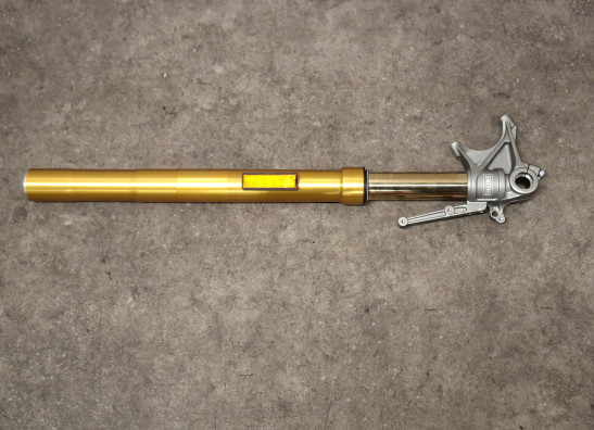 Standrohr Gabelholm links komplett Ducati Multistrada 1200