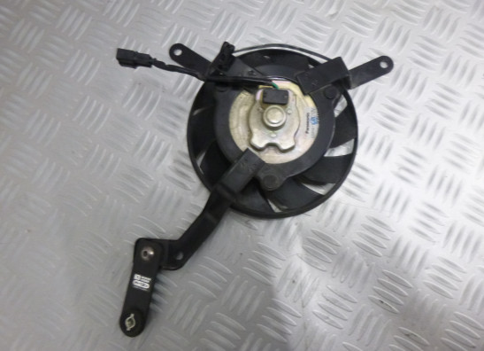 Ventilator Triumph Street Triple 675