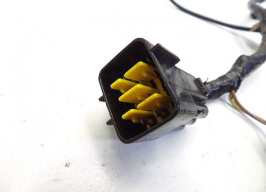 Wire harness front Triumph Sprint RS