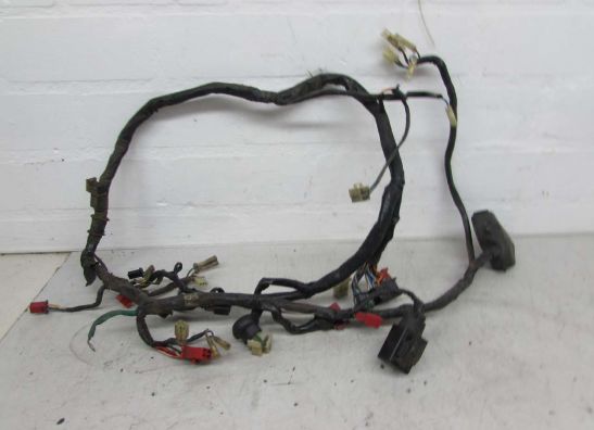 Wire Harness Honda CBR 600 F