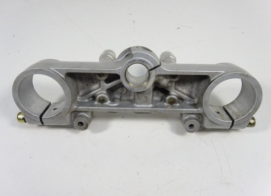 Kroonplaat Ducati monster 600