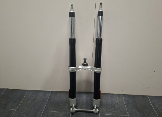 Voorpoten compleet BMW R 1250 GS