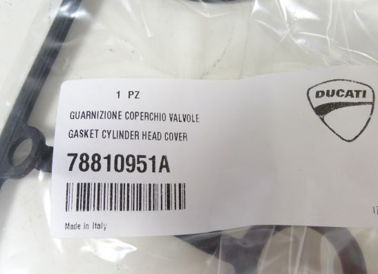 Kleppendeksel Ducati Monster S4R