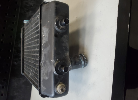 Radiator Aprilia RSV 1000