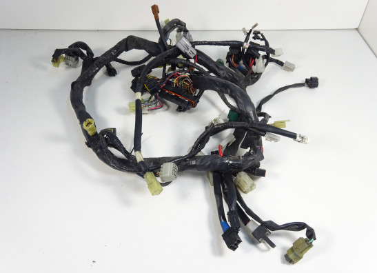 Wire Harness Yamaha FJR 1300