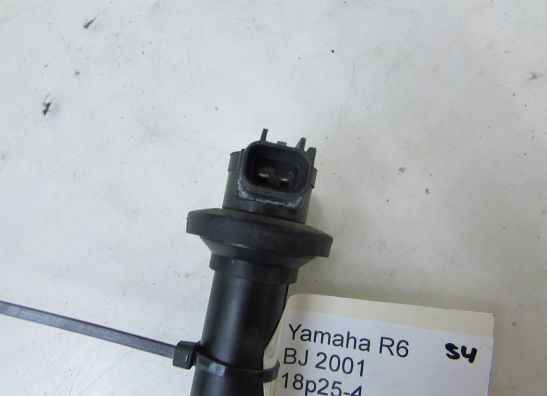 Zundspule Yamaha YZF R6