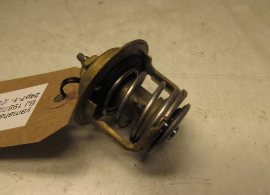 Thermostat Yamaha V max