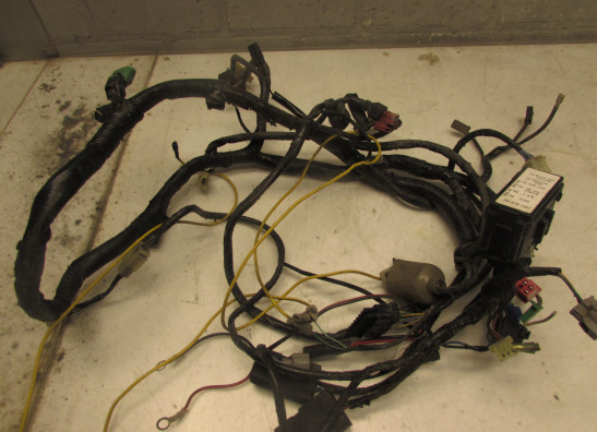 Wire Harness Honda ST 1100 Pan European