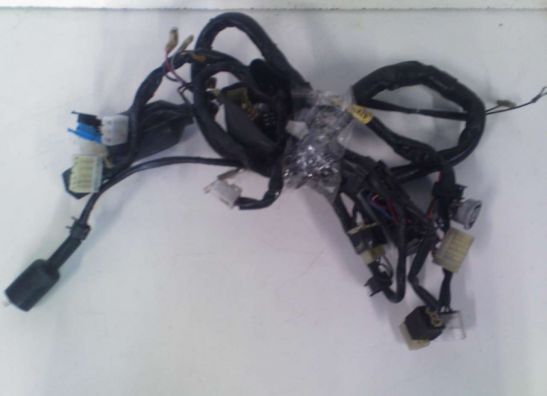 Kabelbaum Yamaha TDM
