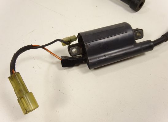 Bobine Suzuki TL 1000