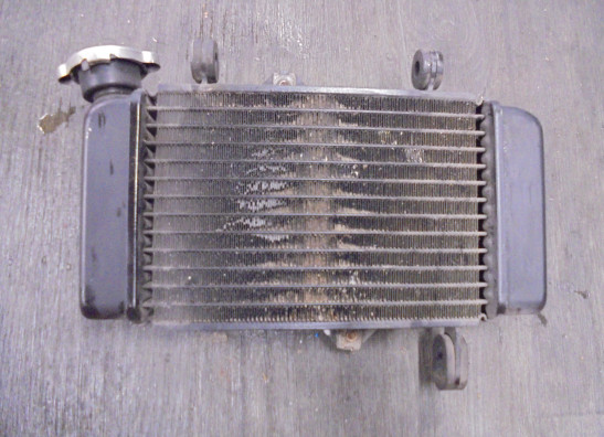 Radiator Yamaha MT 125