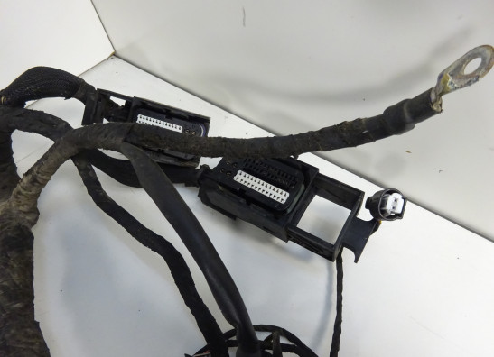 Kabelbaum BMW K 1200 R 