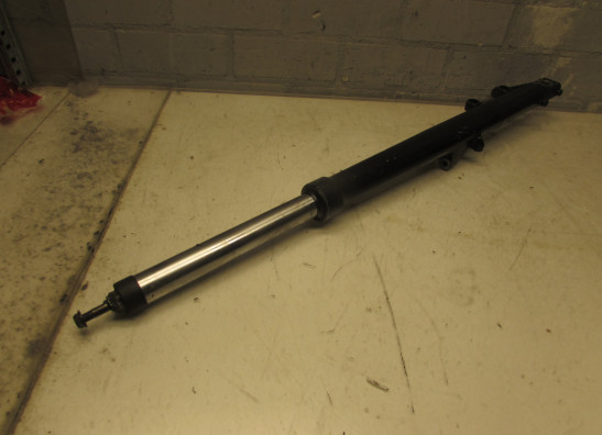 Standrohr Gabelholm links komplett BMW R 850 R