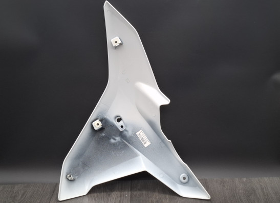 Rechter zijkuip klein BMW R 1250 RS